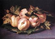 FIGINO, Giovanni Ambrogio Still-life with Peaches and Fig-leaves fdg Germany oil painting reproduction